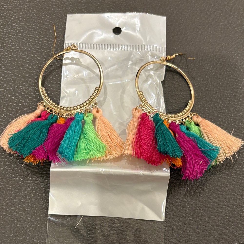 Vibrant Multicolor Tassel Hoop Earrings